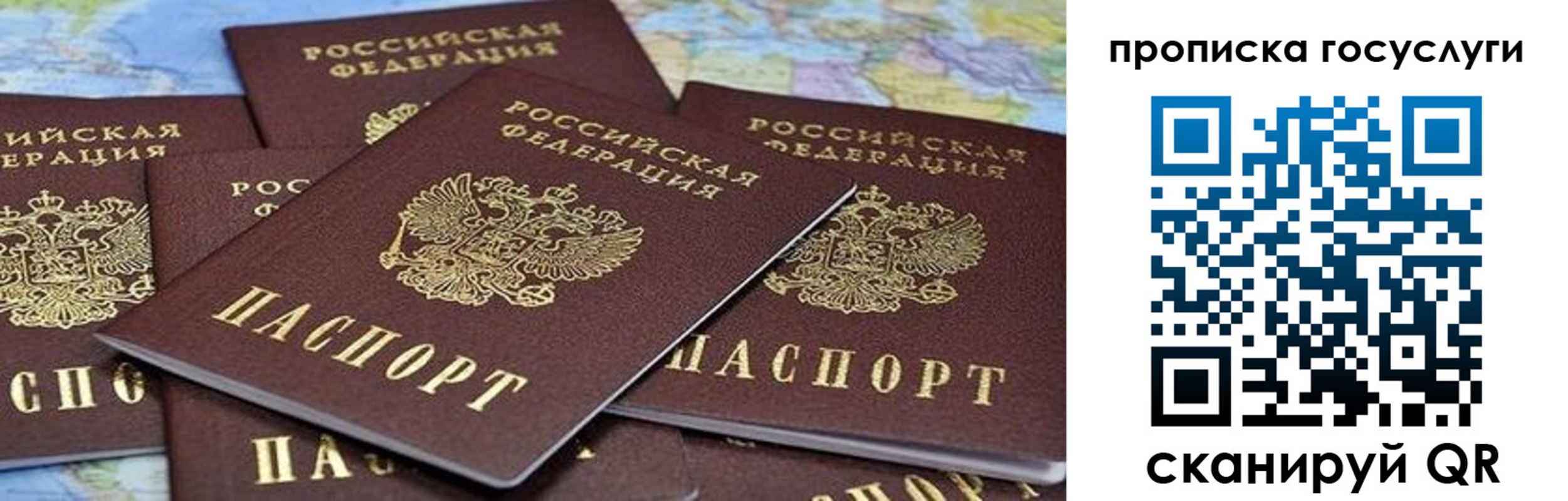 пропишу в квартире в Светлограде